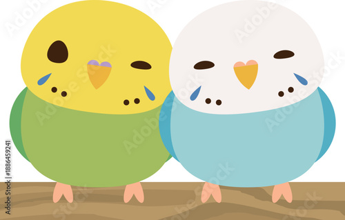 セキセイインコ　ペア