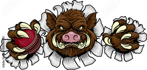 A wild boar, hog razorback ...