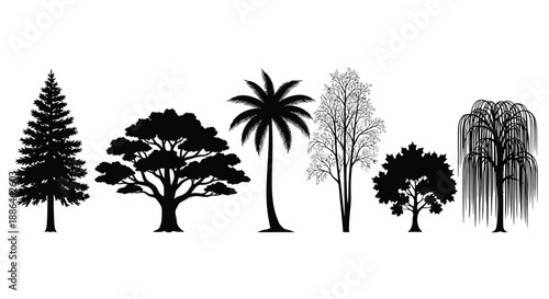 Forest Trees and Plant Types Icons Vector Silhouette Set