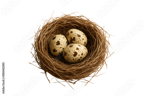 Nest containing three speckled eggs surrounded by twigs and grass in a natural arrangement object on white and png