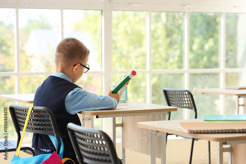 Cute little schoolboy with ...
