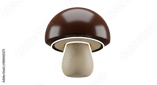 Mushroom with brown cap and cream stem