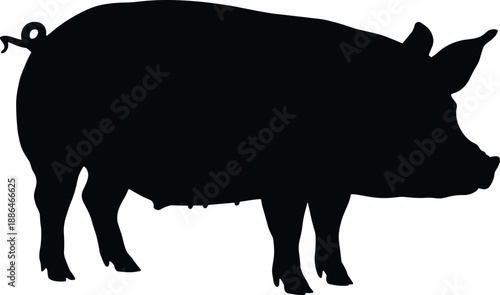 Pig silhouette farm animal profile, black swine side view illustration, livestock meat production concept, cad drawing flat vector isolated