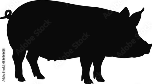 Pig silhouette illustration, farm livestock animal profile, black hog swine shape, agriculture and meat production concept, isolated vector icon on white background