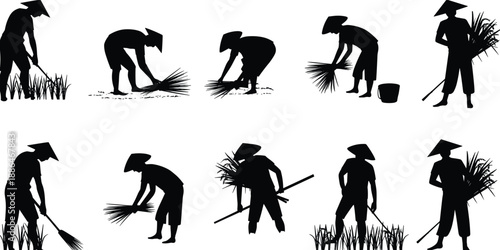 Rice harvesting farmer silhouettes collection, traditional Asian agriculture workers cutting, bundling, carrying paddy crops, rural farming process, black vector illustration isolated
