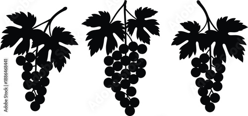 Grape bunch silhouettes set, vineyard fruit cluster with leaves, wine harvest botanical icons, black vector illustration, isolated