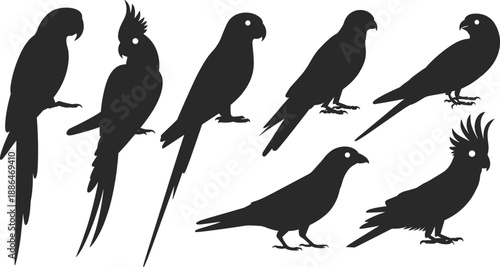 Parrot silhouettes collection, tropical bird icons set, cockatoo and macaw shapes, black vector illustration, isolated on white
