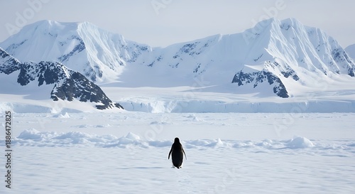 a lone penguin moving towards a mountains in wast antartica, disoriented and deranged 2007