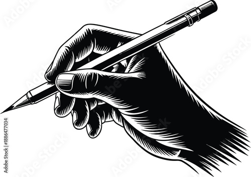 Detailed Hand Drawing With A Pencil Vector