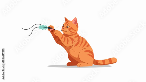 Orange tabby kitten plays with a feathered toy on a white background