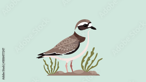 Minimalist illustration of a shorebird standing amidst coastal vegetation