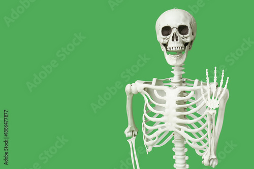 Human skeleton waving hand ...