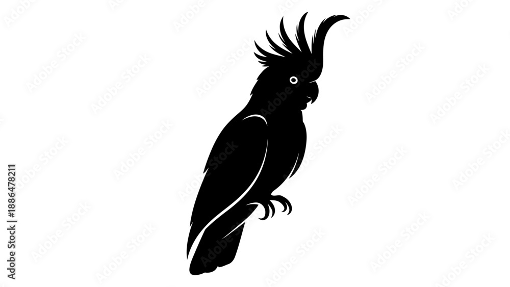 Obraz premium Black silhouette of a cockatoo bird with a crest.