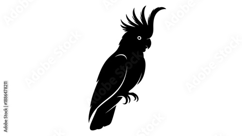 Black silhouette of a cockatoo bird with a crest.