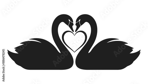 Black swans in love heart shape.
