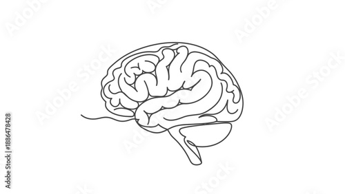 Simple Line Drawing of Human Brain Illustration.