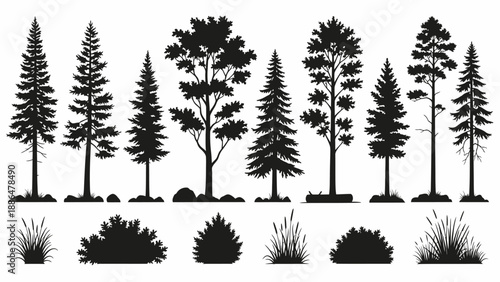 Collection of Diverse Pine and Evergreen Trees Silhouettes.