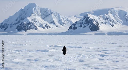 Lonely penguin walking on icy landscape with snow-capped mountains