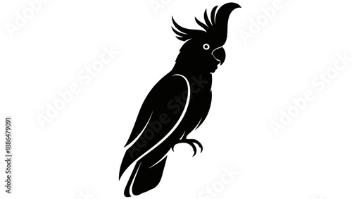Black Silhouette of a Cockatoo Bird.