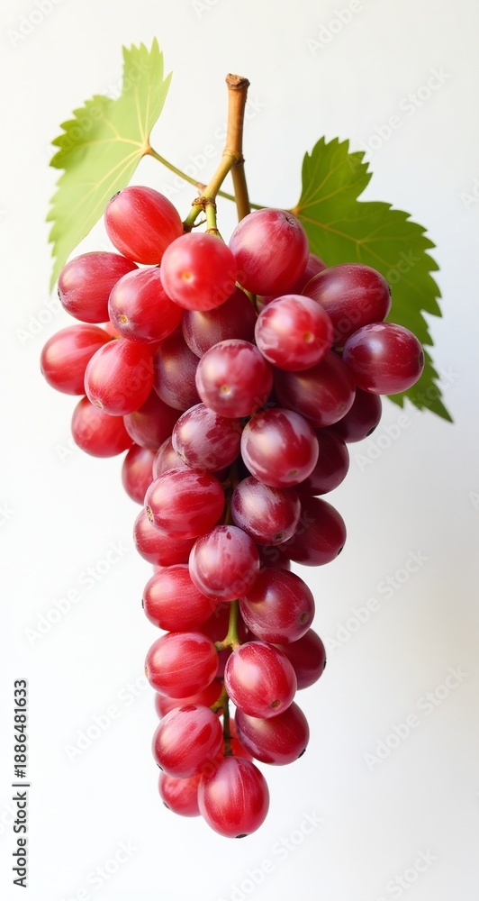 Fototapeta premium Fresh Red Grapes With Green Stem Isolated On White Background