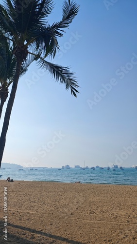 Serene beach scene with a large coconut palm framing the left side, soft golden sand in foreground, and numerous boats anchored in calm turquoise water. Perfect for vacation, travel, and relaxation.