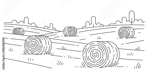 Hay bales in a field line drawing in black and white