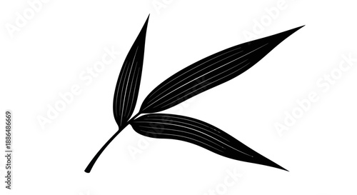 Black Silhouette of Three Bamboo Leaves on a Stem.