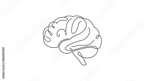 Continuous line drawing of a human brain.