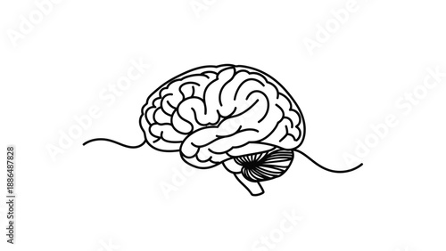 Minimalist line art illustration of a human brain.