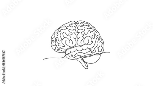 Minimalist single line drawing of a human brain.