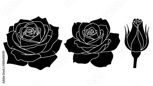 Black Silhouette Roses Flower Outlines.