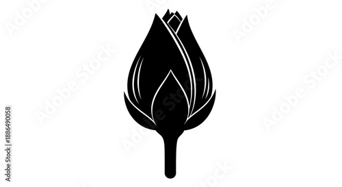 Black and White Lotus Flower Bud Illustration.