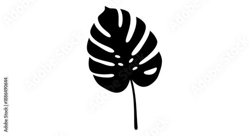 Black Monstera Leaf Silhouette with Distinctive Fenestrations and a Single Stem.