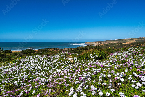 Foz do Lizandro beach in Ericeira, Portugal