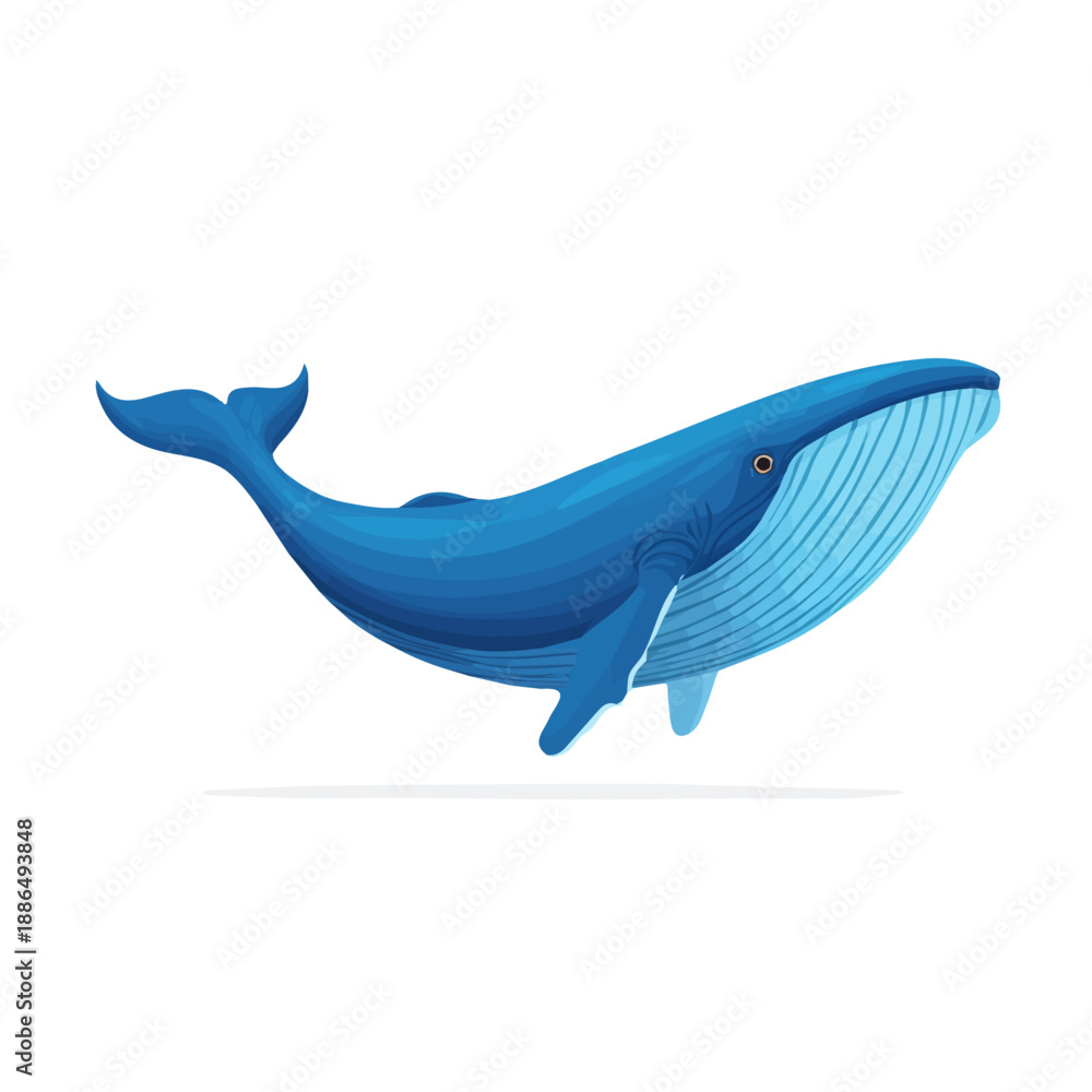 Obraz premium Modern flat 2D vector illustration of Whale, clean and minimal design, isolated on white background.