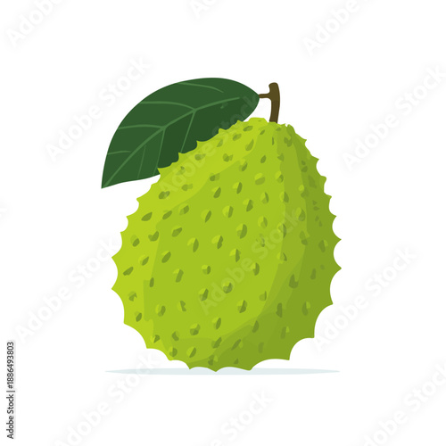 Konstfotografi Modern flat 2D vector illustration of Soursop, clean and minimal design, isolated on white background
