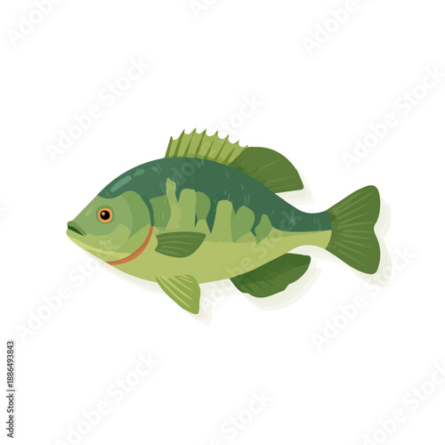 Minimal 2D vector illustration of Tilapia in flat icon style on a plain white background.