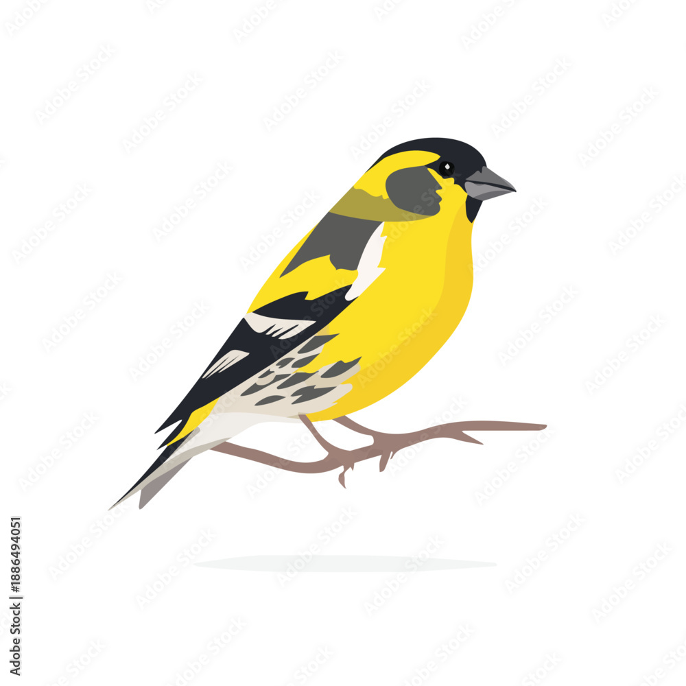 Obraz premium Modern flat 2D vector illustration of Serin, clean and minimal design, isolated on white background.