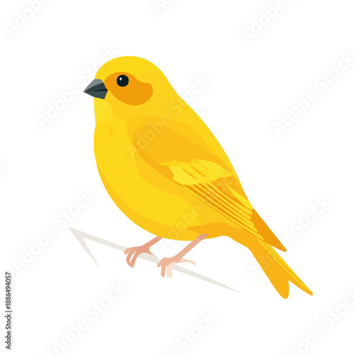 Canary in a clean 2D flat vector icon style, minimal and simple, set on a plain white background.