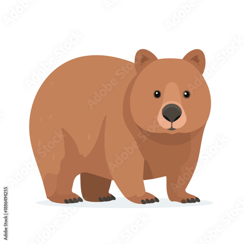 Flat 2D vector illustration of Wombat, simple icon style on a clean white background.