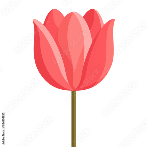 Simple flat 2D vector graphic of Tulip, modern icon look, displayed on a pure white background.