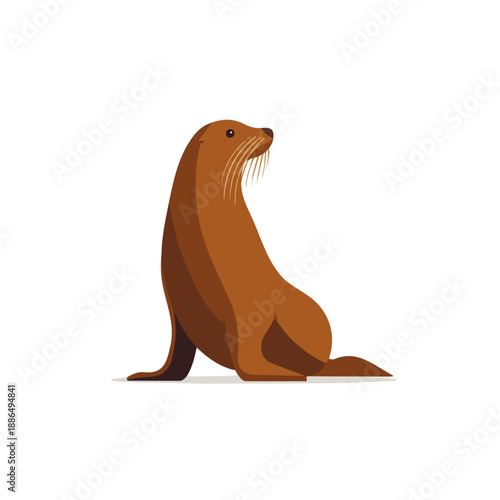 Sea Lion, 2D flat vector illustration, simple and modern style, isolated on a plain white background.