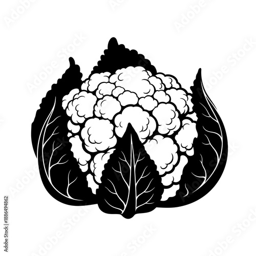 Fresh cauliflower with dark leaves