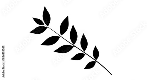 Black Silhouette of a Delicate Branch with Multiple Oval Leaves.