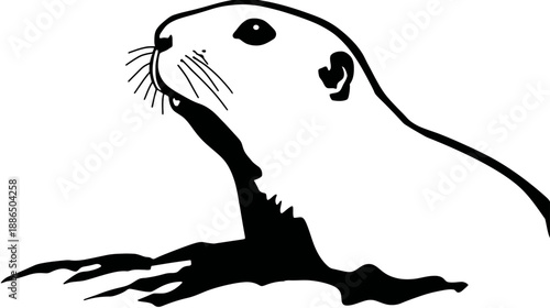 Monochrome vector illustration of a groundhog or prairie dog emerging from its burrow, wild rodent peeking