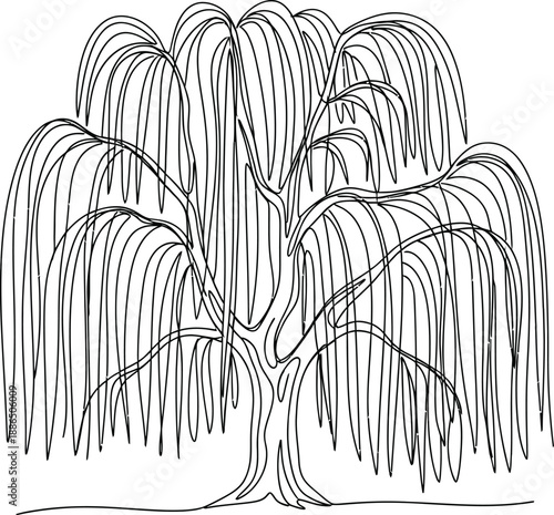 Minimalist continuous line drawing of a beautiful weeping willow tree silhouette