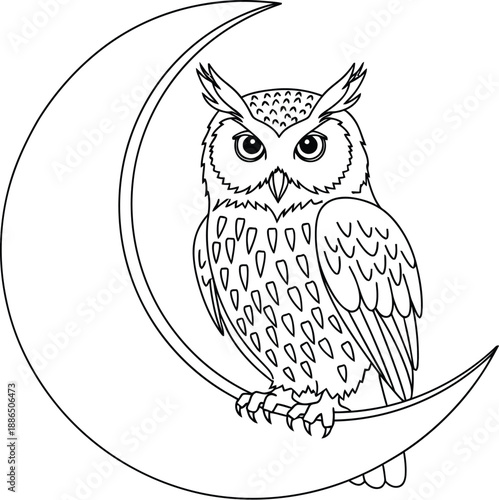 Outline drawing of an owl perched upon a crescent moon for coloring pages