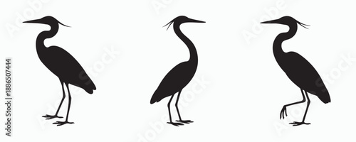 3file set for shatSet of heron or egret bird silhouettes standing in different poses. Elegant long-legged wading birds shown in black flat vector style, isolated on white background.