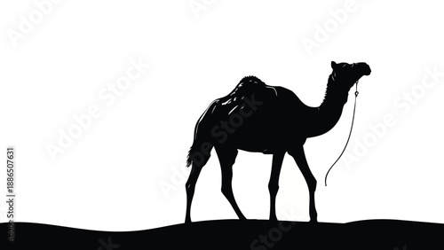 A silhouette of a camel standing on a hill against a white background