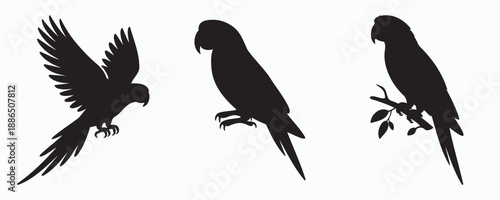 Stylized black parrot silhouettes in dynamic flying and perched poses. Minimal vector illustration of tropical birds, perfect for branding, icons, tattoos, wall art, and exotic nature designs.